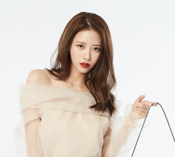  노다지네 잡학다식