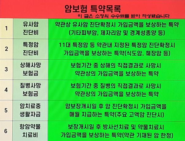 암보험 갱신형 삼성화재 암보험 암보험 갱신형 삼성화재 암보험
