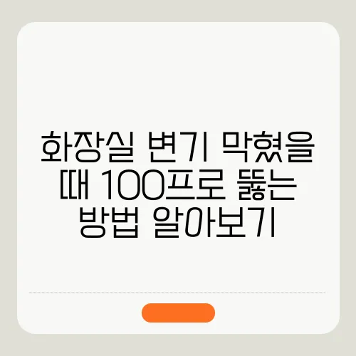 화장실 변기 막혔을 때 100프로 뚫는 방법 알아보기