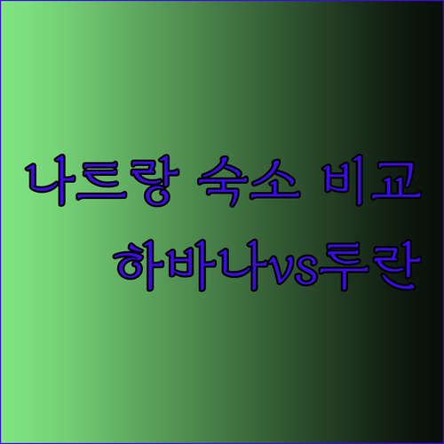나트랑 여행 숙소 고민 끝 프리미어 