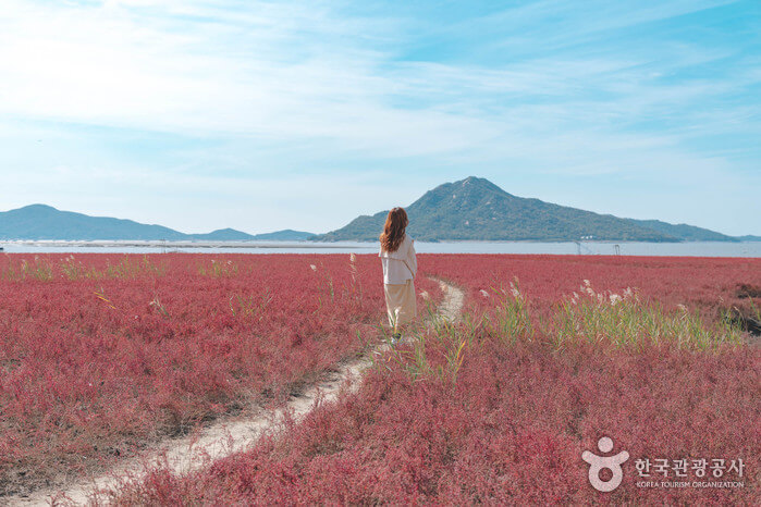 강화도 해안 사진