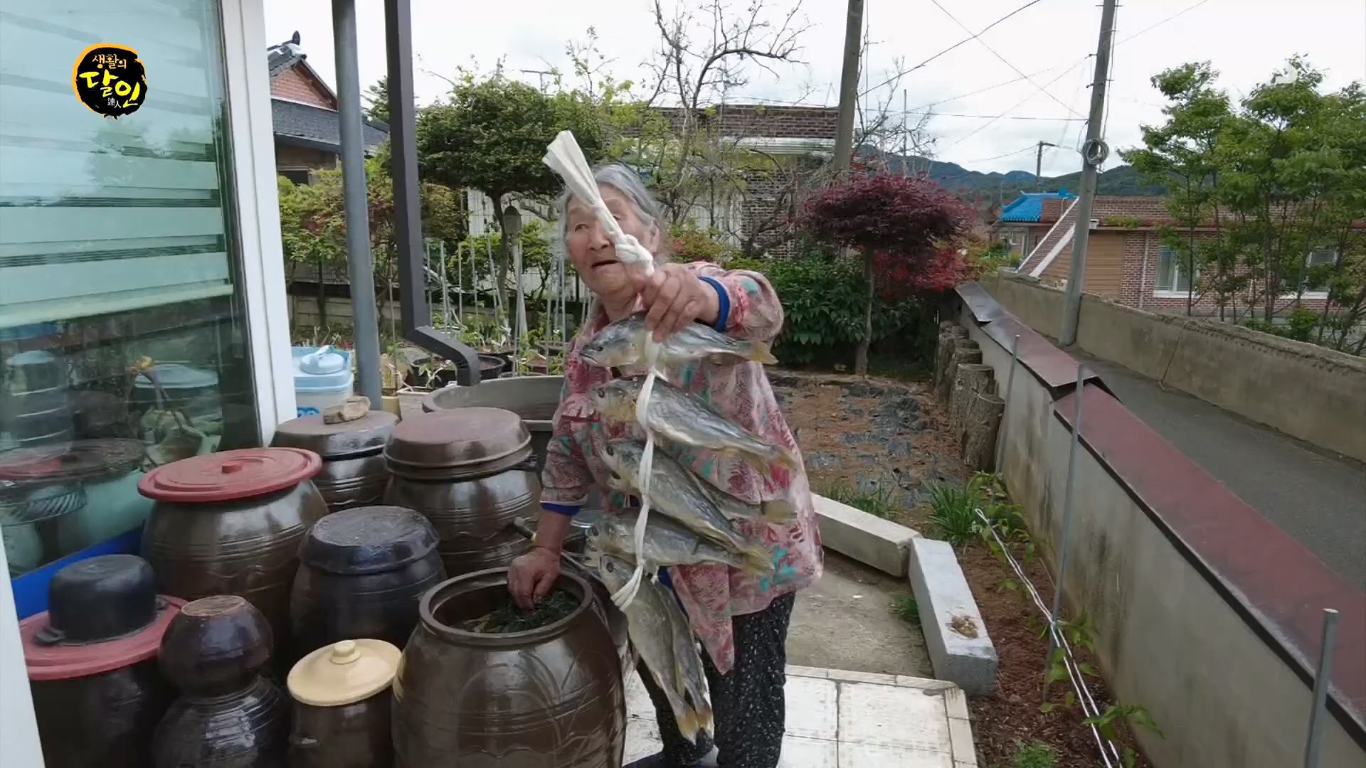 생활의 달인.E887.230508p.H264-F1RST.mp4_20230509_202140.266.jpg