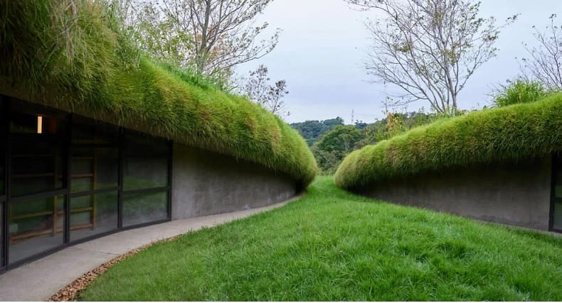 일본 쿠르쿠 들판의 지하 도서관 Underground library in japan&rsquo;s kurkku fields invites bookworms in a cavern-like reading space