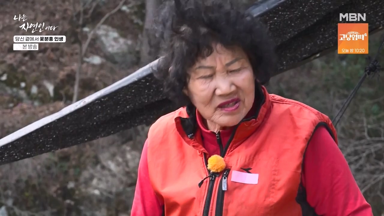 나는 자연인이다.E601.240418p-NEXT.mp4_20240418_202913.179.jpg