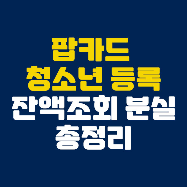  팝카드 청소년 등록하기 잔액조회 분실