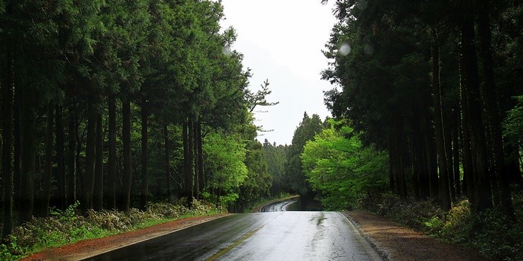 10만원대 10만원대
