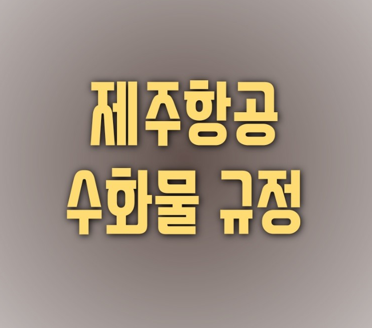 제주항공 수화물 규정 알아보도록 하겠습니다.