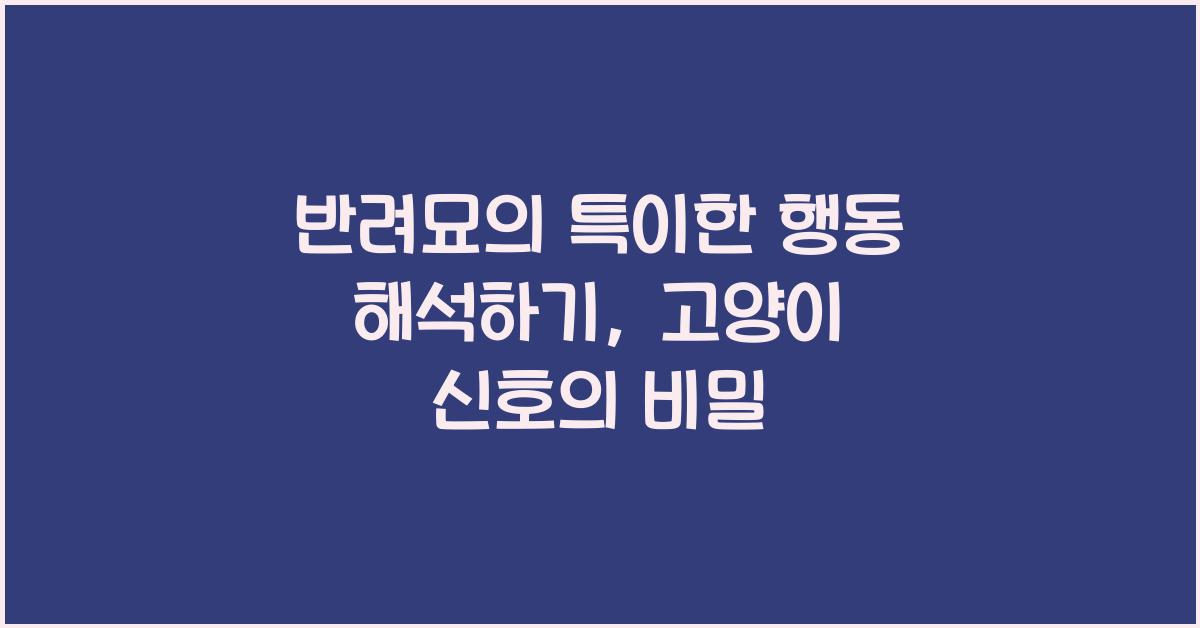 반려묘의 특이한 행동 해석하기: 고양이가 보내는 신호 알아보기