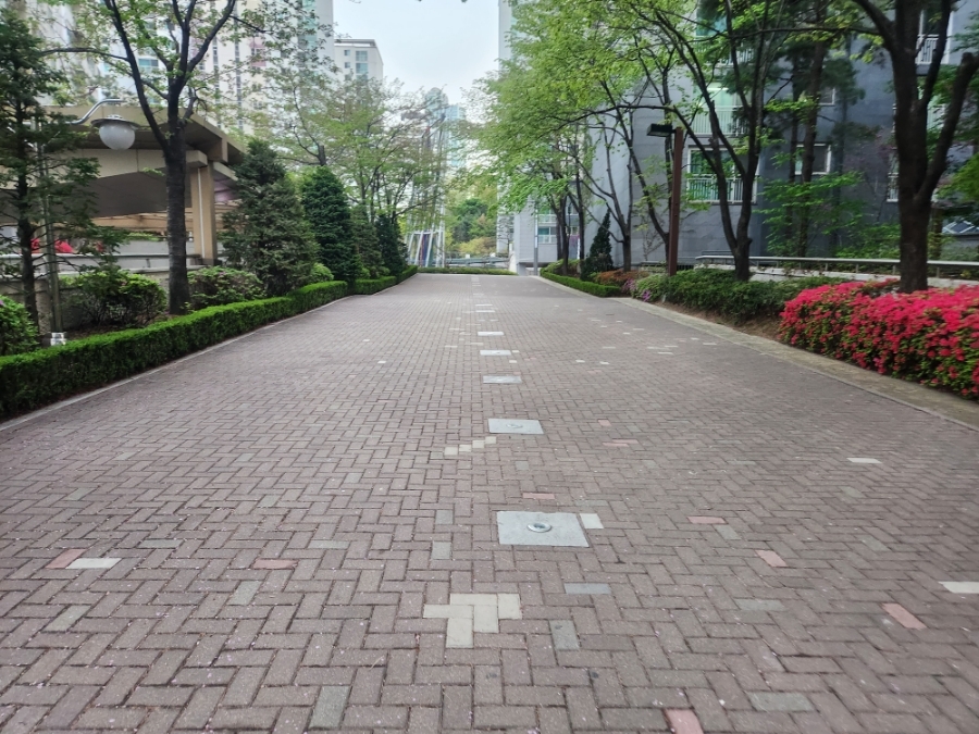  임장보고서 - 강남구 도곡동
