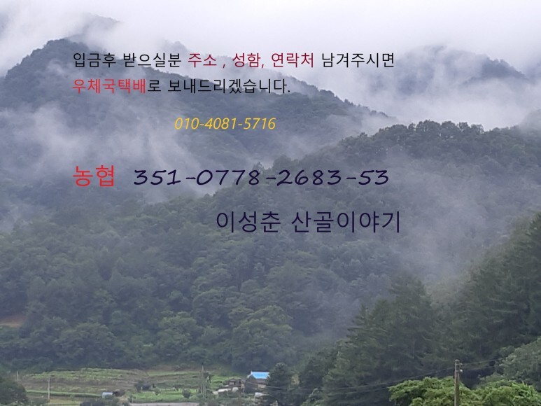 낮달맞이 종근 판매 7