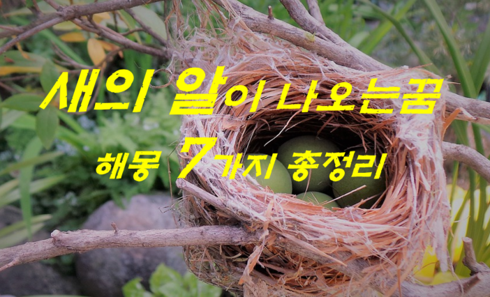  새알꿈 해몽 7가지 총정리