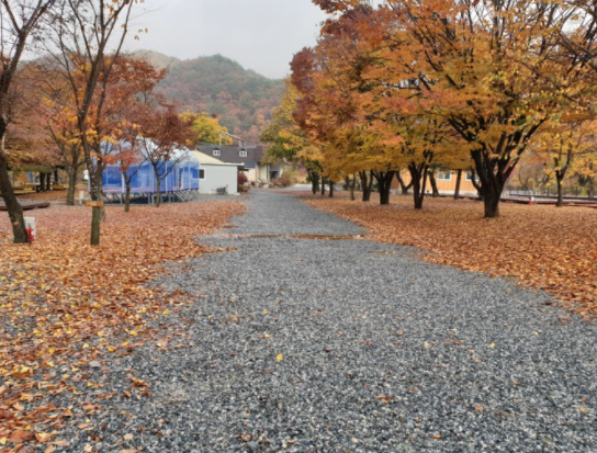 뉴힐링캠프 이미지