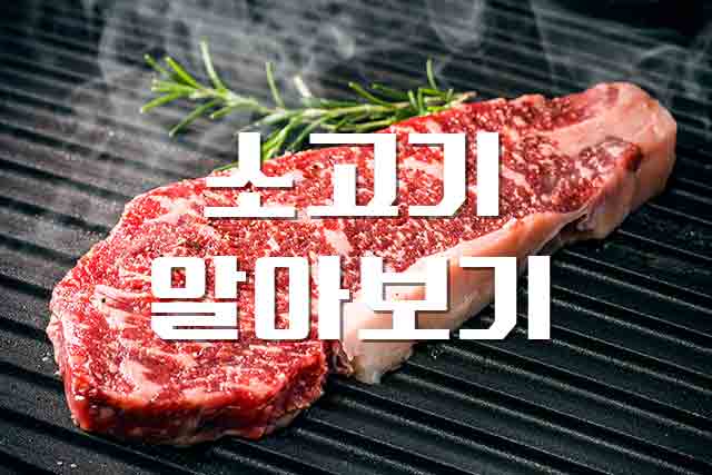  소고기, 맛과 영양의 풍미를 담은 소고기 정보