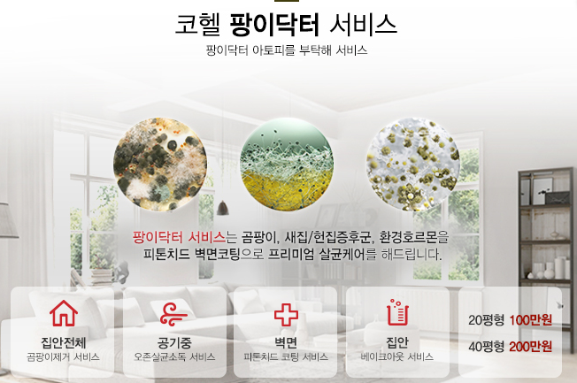 코헬건축기술 곰팡이제거 