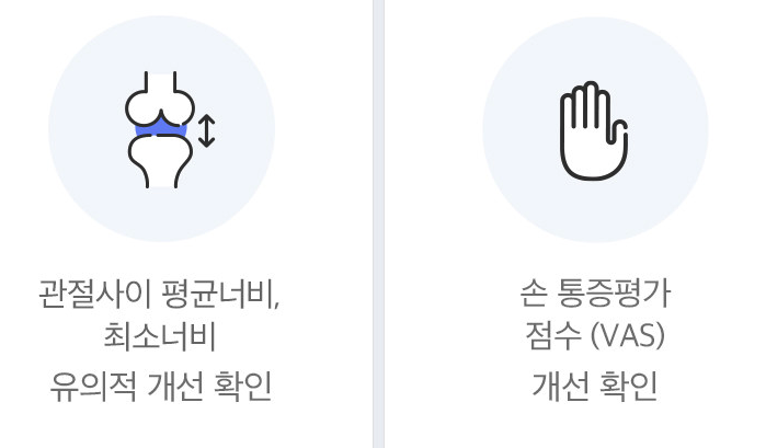 콘드로이친에 대한 종합 가이드: 효능&#44; 복용량