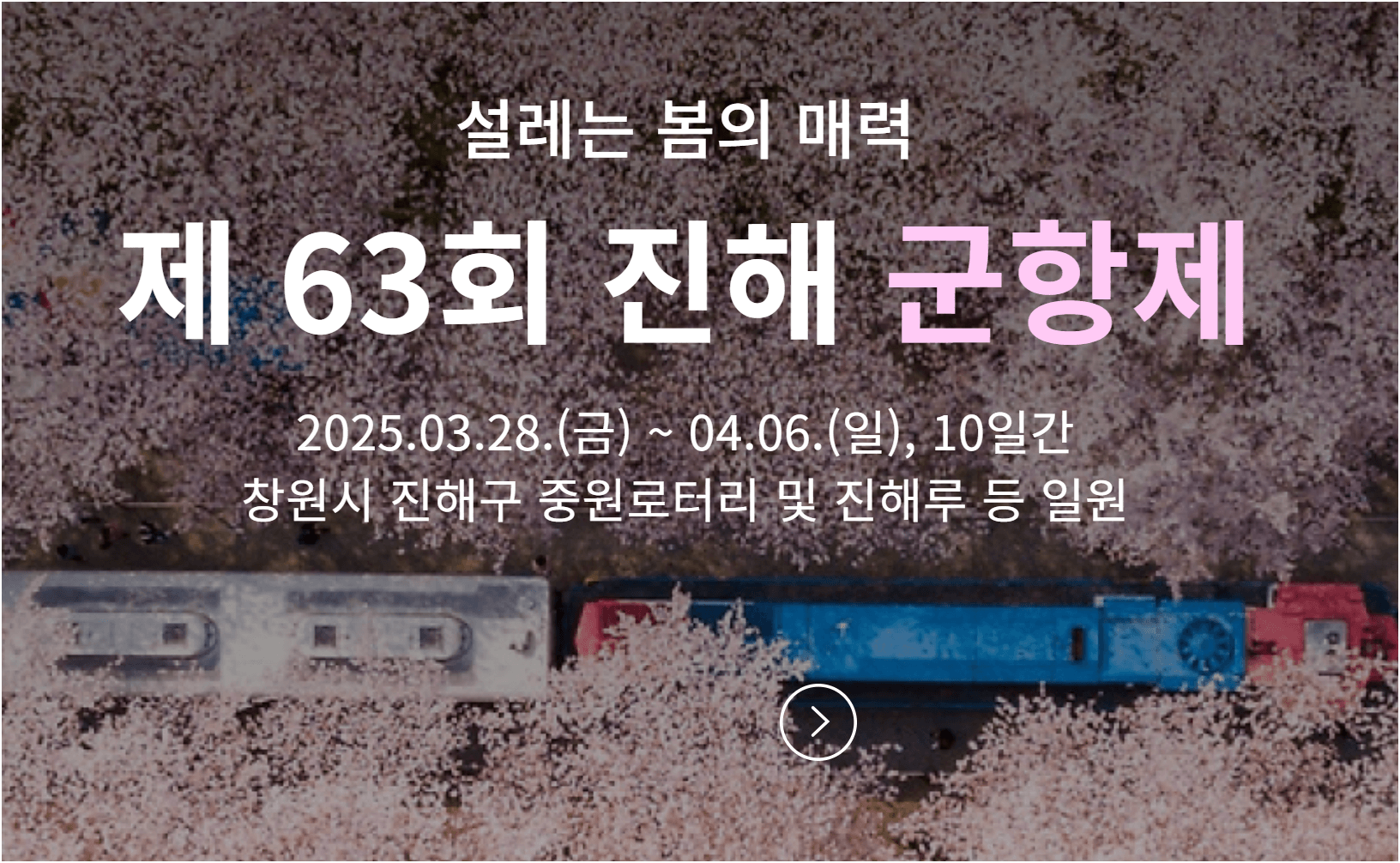 2025 진해 군항제 기간, 주요 행사, 초청 가수, 주요 명소, 주차, 맛집, 숙소(+꿀팁)