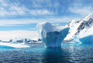 Positive Feedback: How the Fragile Antarctic is Impacting the Entire Planet.