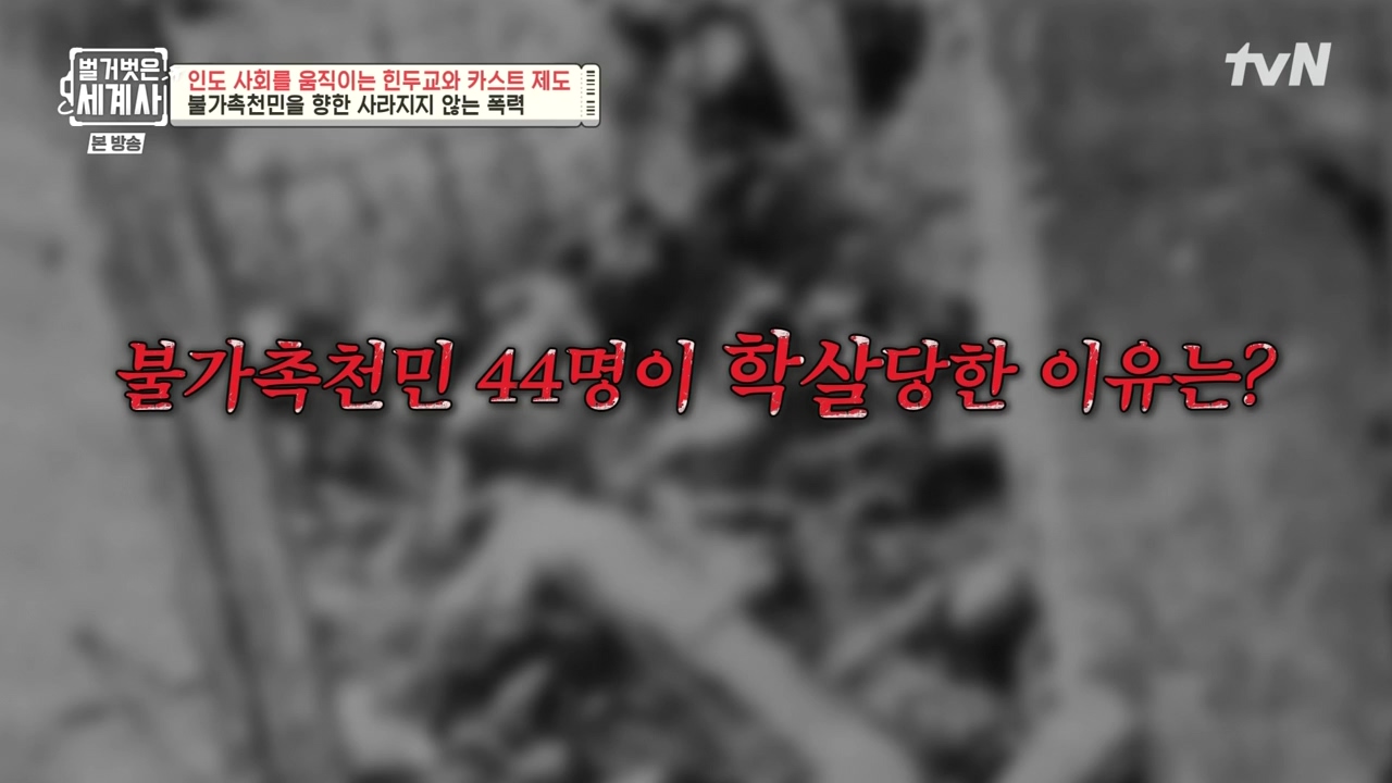 벌거벗은 세계사.E115.230906p-NEXT.mp4_20240406_175741.466.jpg