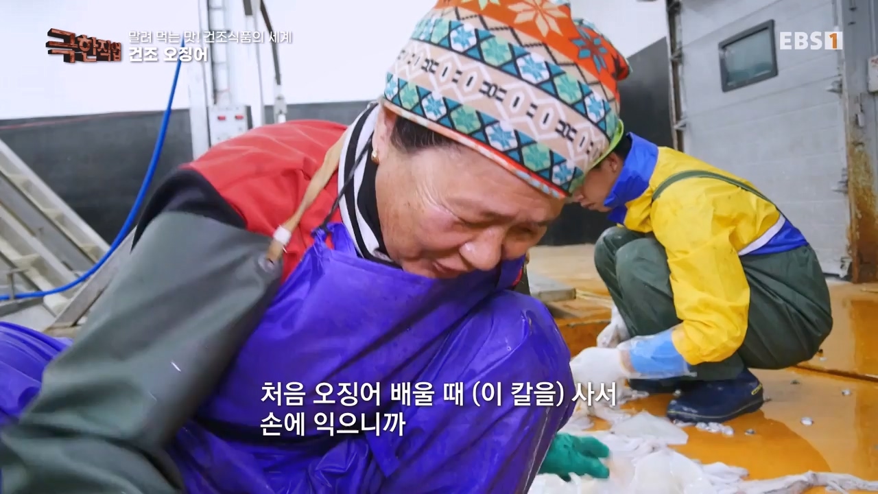 TV - 전 국민의 평생학교 EBS말려 먹는 맛! 건조식품의 세계.mp4_20231125_190721.876.jpg