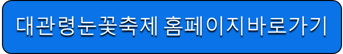 대관령 눈꽃축제 홈페이지 바로가기