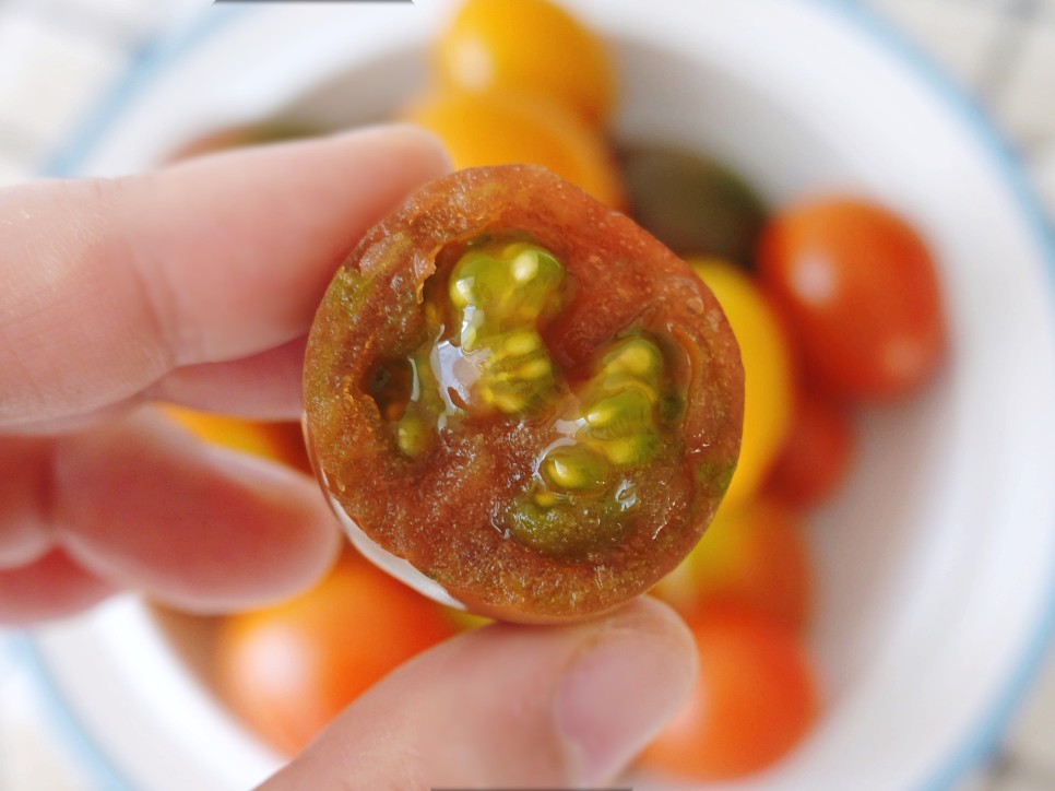 토마토들 산지직송 컬러 12