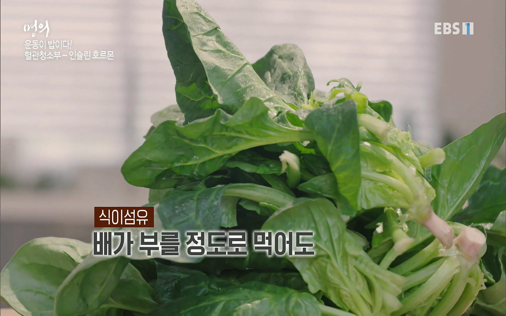 EBS 명의 헬스케어 - TV - 교육의 중심 EBS내 몸을 지배하는 7가지 호르몬 3부, 운동이 밥이다! .mp4_20220711_202513.293.jpg