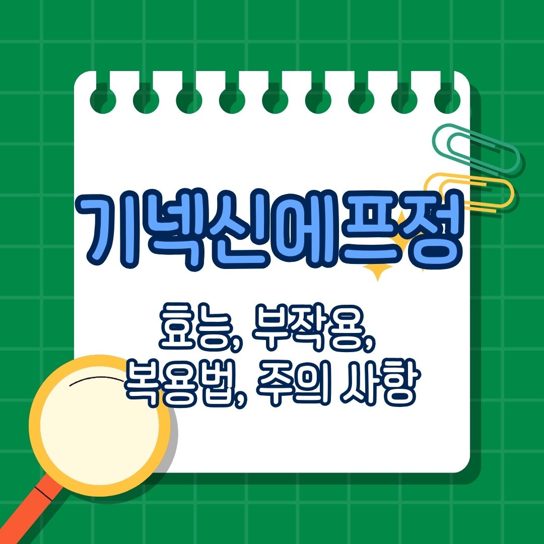 기넥신에프정 성분, 효능, 효과, 복용법, 부작용, 대체약물, 비교, 손발저림, 어지럼증, 이명, 귀울림, 기억력 저하 개선, 기넥신에프정이란,