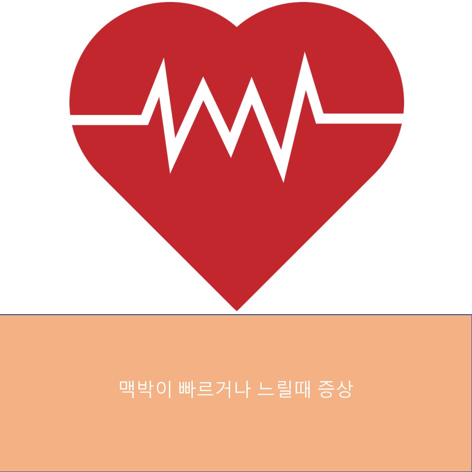  나의 맥박은 느릴까 빠를까? 맥박이 빠르거나 느릴때 나타나는 현상