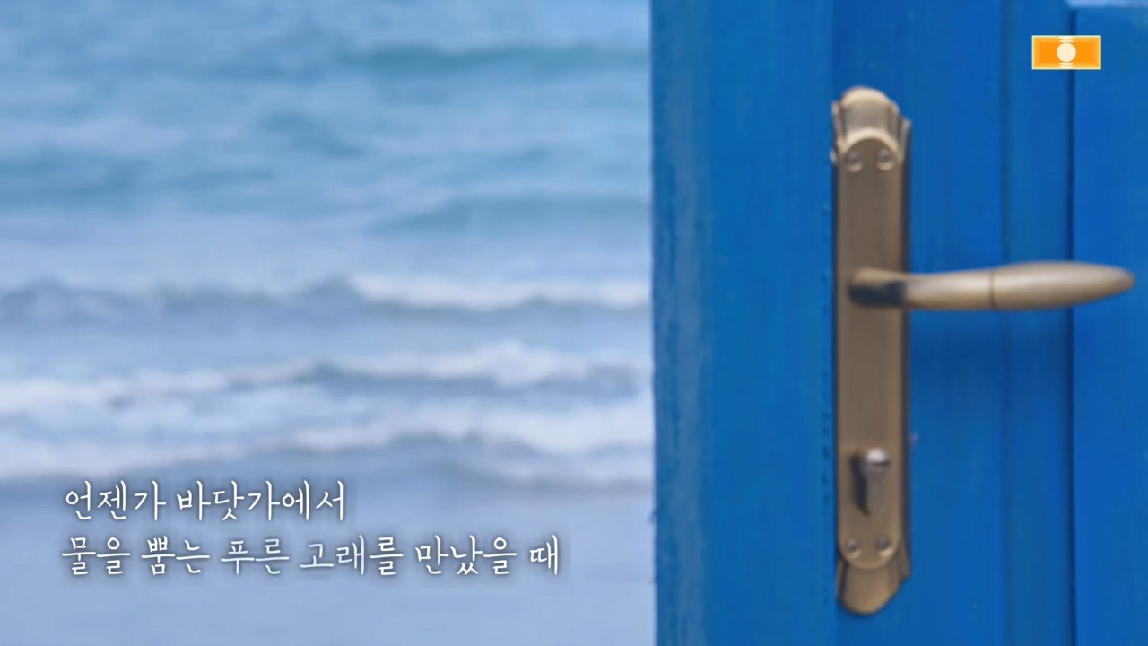 창사특집 다큐멘터리 고래와 나.E02.231126p-NEXT.mp4_20231126_160839.183.jpg