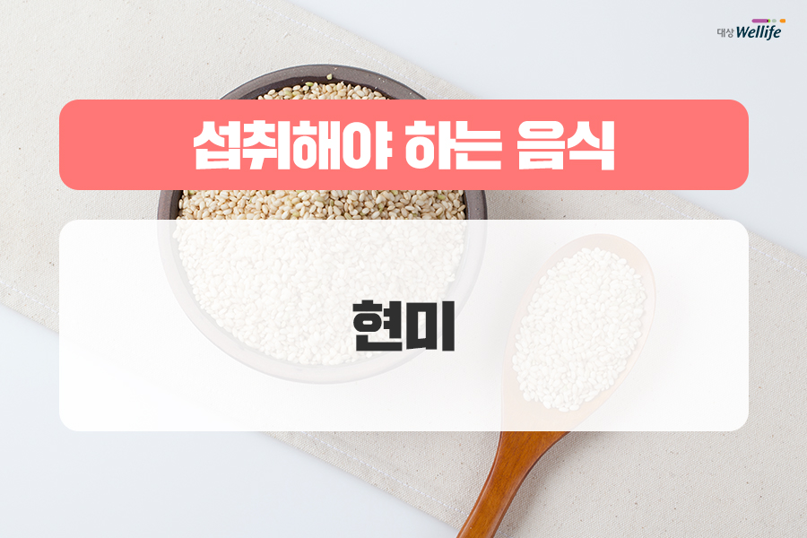 알고 생활습관과 식단으로 관리하자! 고지혈증의 원인은 바로 5