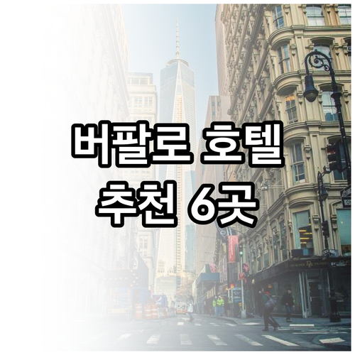 버팔로 여행 호텔 예약 6곳 비교 가