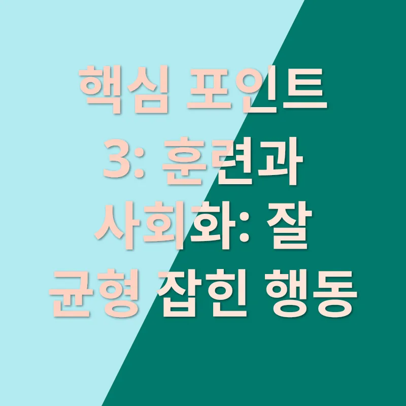 강아지 분양_3