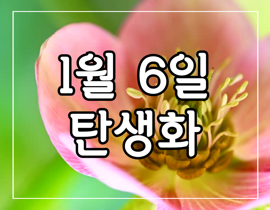 이 이미지를 클릭 하시면 1월 6일 탄생화에 관한 글로 이동됩니다.