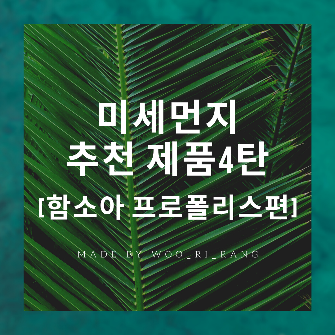  [미세먼지 4탄] 미세먼지 추천제품 / 함소아 프로폴리스
