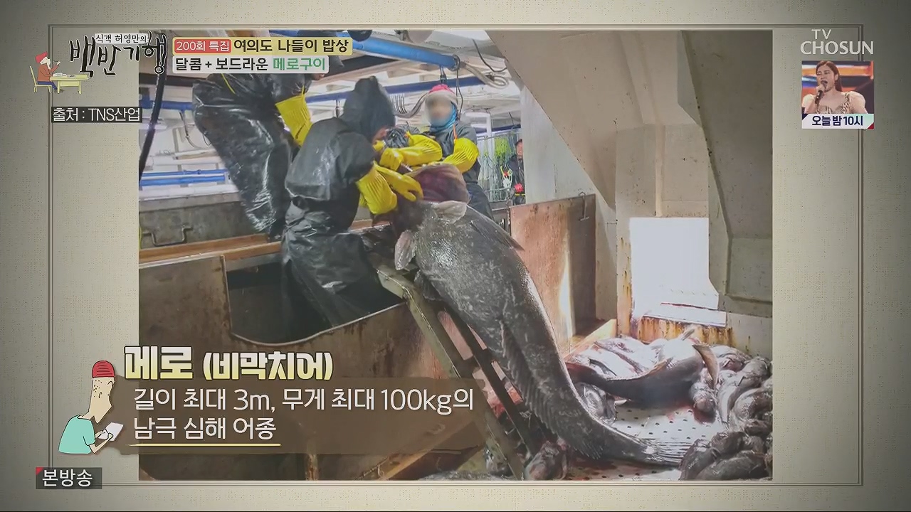 식객 허영만의 백반기행.E200.230513p.H264-F1RST.mp4_20230513_162443.399.jpg