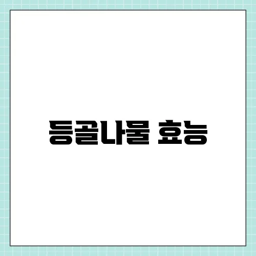 등골나물 효능, 부작용 및 먹는법