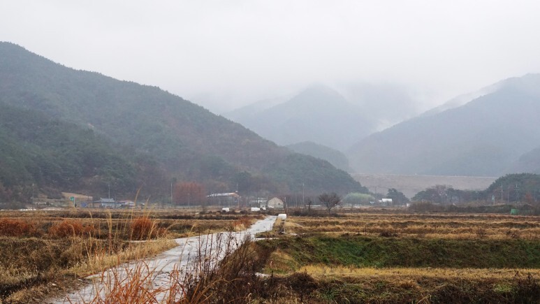 박종구 이미지