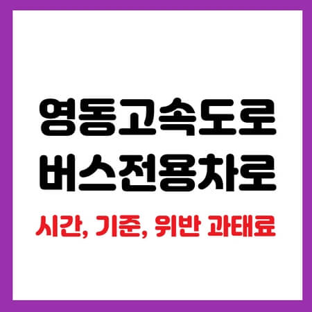 영동고속도로 버스전용차로