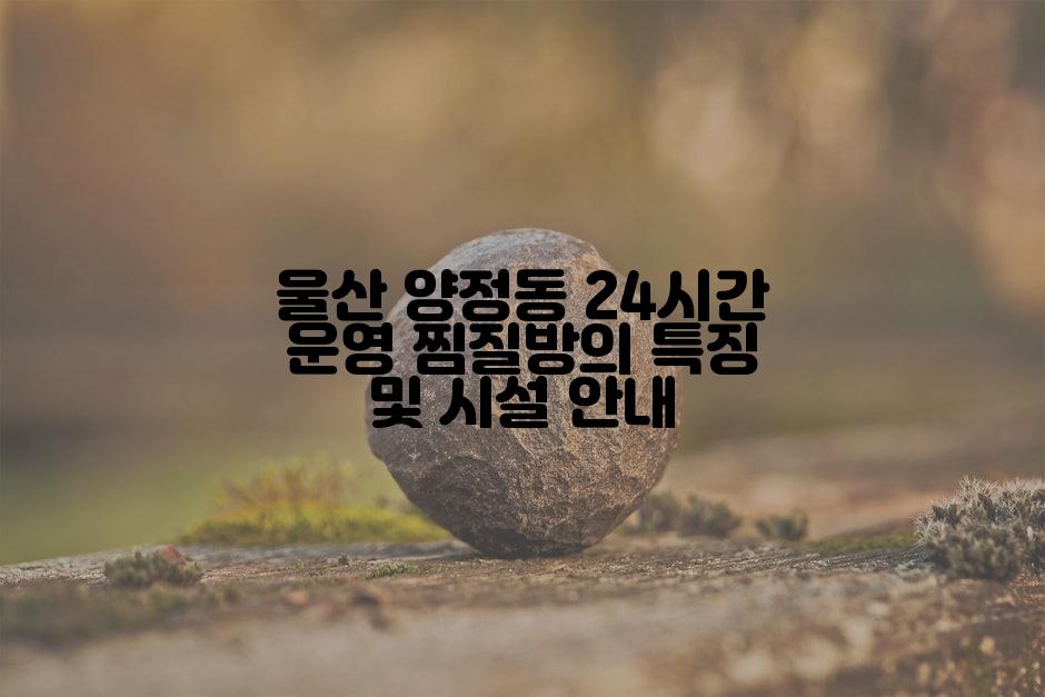 울산 양정동 24시간 운영 찜질방의 특징 및 시설 안내
