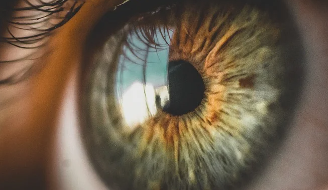  눈, 눈동자, 장님 관련 꿈해몽 꿈 풀이