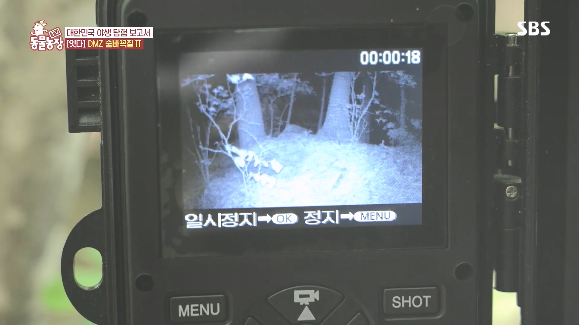 TV 동물농장.E1185.240818p.H264-F1RST.mp4_20240818_161608.978.jpg