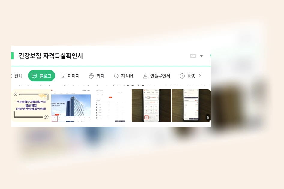 건강보험 자격득실확인서_1_subsection