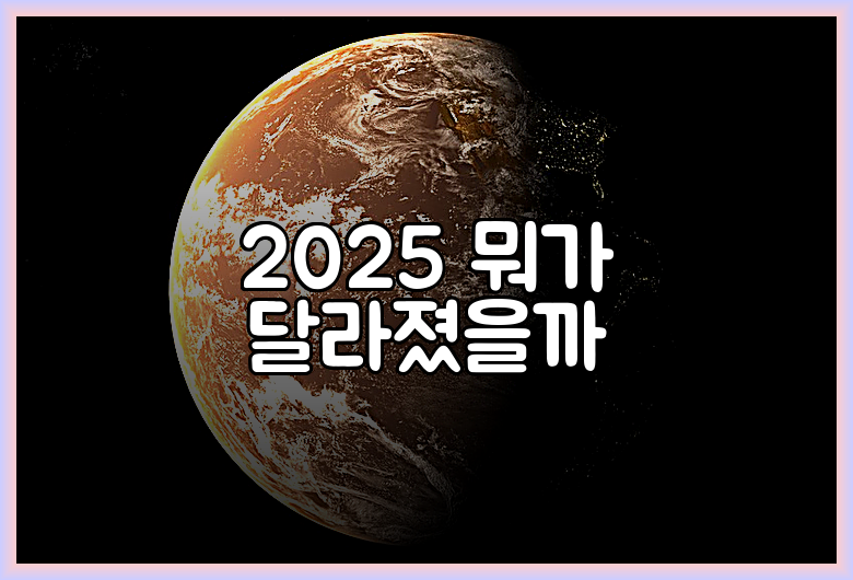 2025 뭐가 달라졌을까