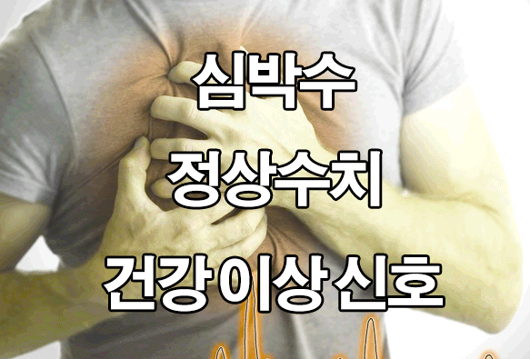  심박수 빨리 뛰는 이유 : 정상수치, 정상심장박동수