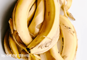저혈압에 좋은 음식 7가지 총정리 바나나
