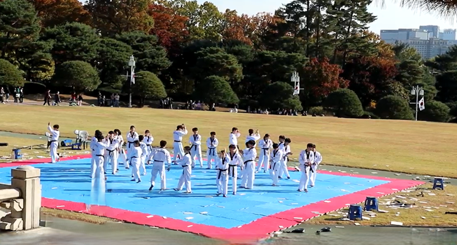 한국체대-태권도시범_14