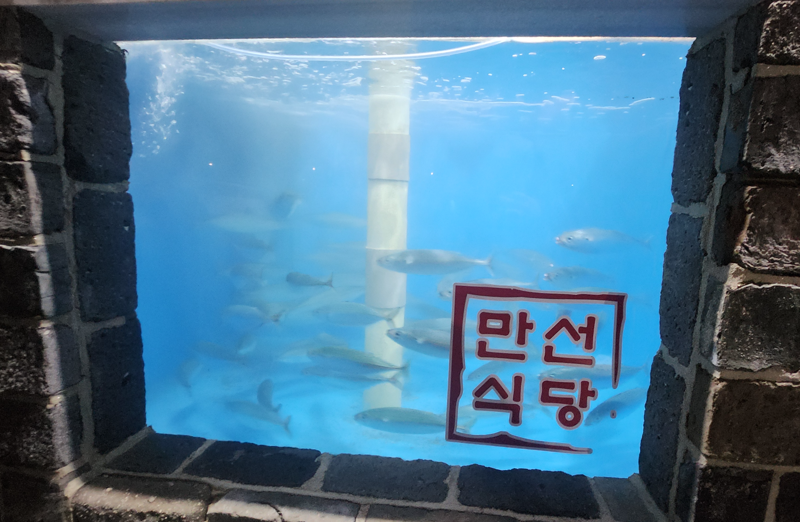 고등어식당 이미지