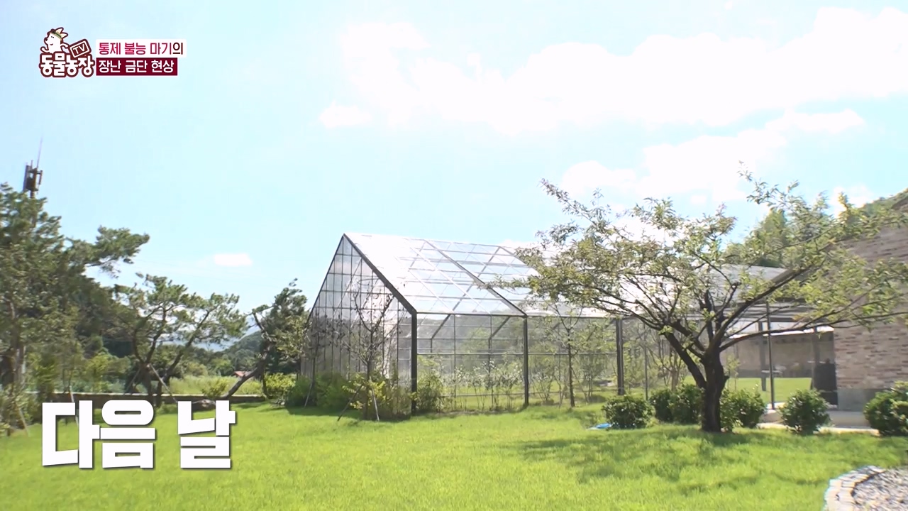 TV 동물농장.E1135.230828p-NEXT.mp4_20230827_180821.451.jpg
