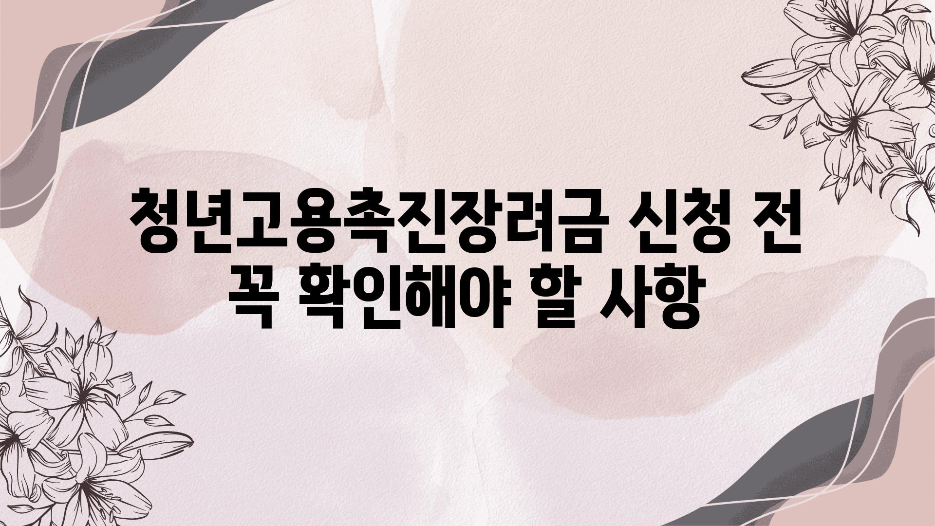 청년고용촉진장려금 신청 전 꼭 확인해야 할 사항