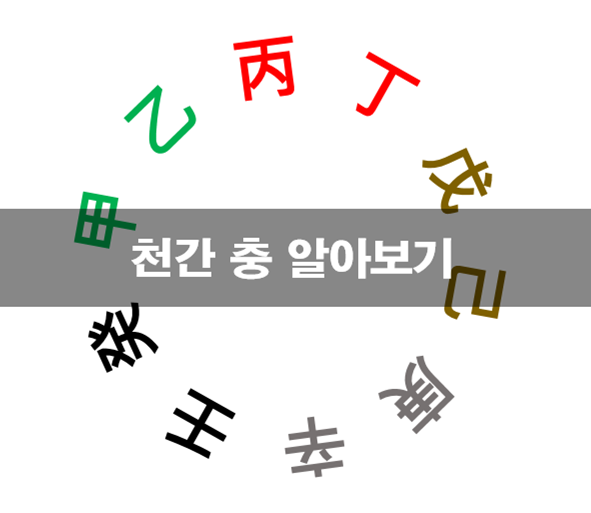  사주팔자 천간충 알아보기